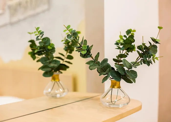 On Sholom Aleykhema 8 * Leópolis